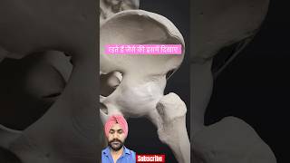 “Understanding Hip Joint Ligaments  Dr Gunvinder Singh  Orthopaedic Insights” 3danatomy [upl. by Etnoek]