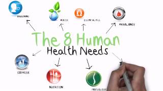 The 8 Human Health Needs [upl. by Hunsinger917]