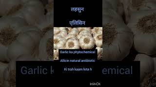 Garlic  Allicin  Nutritiondupe7691 [upl. by Noyek]