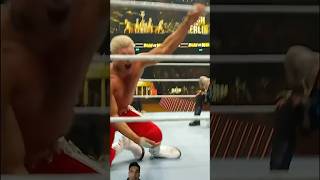 When rhodes wwe wrestling bashinberlin fyp shorts [upl. by Otit]