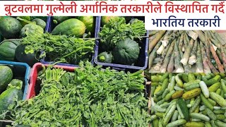 बुटवलमा गुल्मेली अर्गानिक तरकारीले विस्थापित गर्दै भारतिय तरकारी  Dhurkot Gaupalika Gulmi [upl. by Yremrej633]