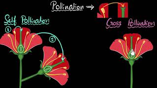 Pollination and its types [upl. by Currey]