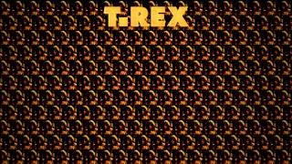 T Rex  Hot Love Lyrics 1080p [upl. by Noiemad]