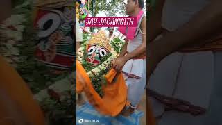 maha rath yatra ❤️ mahapradhu ji ka darsan 🙏🏻🙏🏻 jay jagarnnath 🙌🏻 [upl. by Donny830]