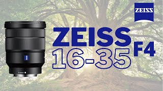 Sony VarioTessar T FE 1635mm f4 ZA OSS Lens  First and Last Impressions [upl. by Ely]