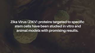 Zika Virus as a Treatment for Brain Cancer A Systematic Review  Oncotarget [upl. by Ylus]