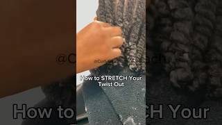 Stretch Your Twist Out  Natural Curls  How to Combat Shrinkage [upl. by Nhguav611]