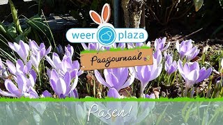 29 maart Het paasjournaal [upl. by Santoro]