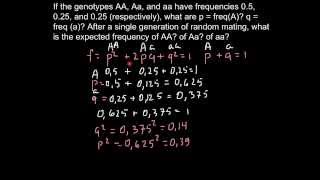 What is expected new allele frequency in F1 generation [upl. by Isiahi940]