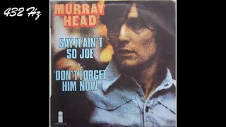 Murray Head  Say It Aint So Joe 432 Hz [upl. by Oz83]