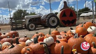 Your spooktacular guide to frugal family fun this Halloween [upl. by Gladstone]