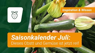 Saisonkalender Dieses Obst und Gemüse ist im Juli reif [upl. by Leban]