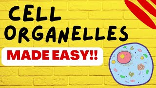 Cell Biology Cell Organelles explained in 5 minutes [upl. by Doughman]