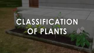 Classification in Plants\PLANTAE KINGDOM OF CLASSIFICATION [upl. by Cynarra]