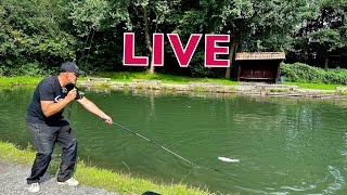 🎁 Forellenangeln Live mit neuen Ködern 😍 die Fische beissen 👍 tolle Anlage  Gewinnspiel [upl. by Eerrehc246]