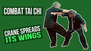 Combat Tai Chi  Crane Spreads Its Wings [upl. by Thrift]