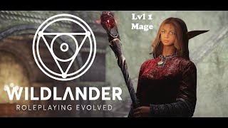 Skyrim Lvl 1 Mage Breaking the in 10 minutes  Wildlander 3BTweaks  EP 01 [upl. by Iene96]