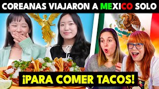 🇲🇽 COREANAS VIAJAN A MÉXICO SOLO PARA COMER TACOS  AHORA QUIEREN SER MEXICANAS [upl. by Arihsay98]