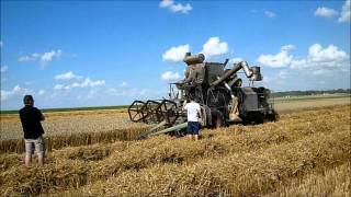 Weizen Dreschen 2013 mit Claas SF und Claas Arion 620 [upl. by Nicolette]