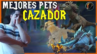 🐾 MEJORES MASCOTAS para CAZADOR 🏹  World of Warcraft DRAGONFLIGHT [upl. by Cloe]