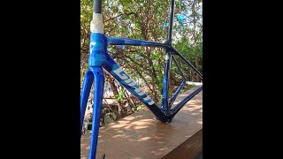 Ultimate Racing Frameset For 2024  TCR Advanced Pro Disc [upl. by Silvia604]