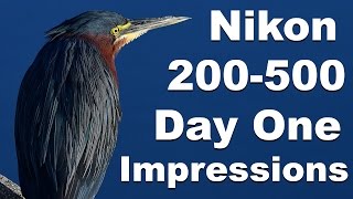 Nikon 200500mm Lens First Day Impressions Wildlife  Birding Photography [upl. by Justinn]