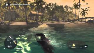 How to Get Elite Harpoon  Assassins Creed 4 [upl. by Lavinia]