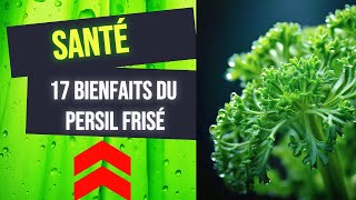 Bienfait du Persil Frisé pour Votre Santé  🌿✨ [upl. by Rosenkranz874]