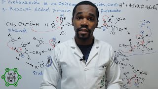 Oxidación de Alcoholes Primarios con Ácido Crómico para Dar Ácido Carboxílico Mecanismo de Reacción [upl. by Slosberg467]