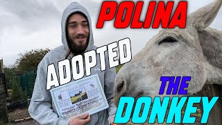 We have adopted Polina the Donkey [upl. by Inatsed93]