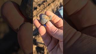 Crotal Bell shorts short viralvideo video metaldetecting entertainment history [upl. by Notlok]