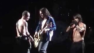 Red Hot Chili Peppers  Intro  Otherside LIVE [upl. by Elahcar459]