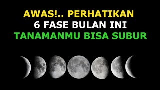 Biodynamic Pengaruh Fase Bulan Terhadap Pertumbuhan Tanaman [upl. by Etep214]