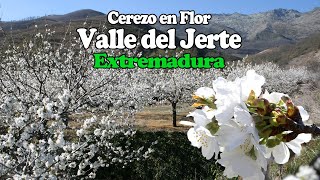 Primavera en el Valle del Jerte Mucho más que cerezos en flor [upl. by Peisch]