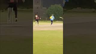 Goodcatch Goodfield Match winning catch ipl cricket [upl. by Ueihttam]