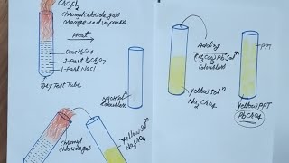 chromyl chloride testfor class11 12NEETJEE [upl. by Valleau]