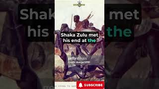 Shaka Zulus Death Historical Analysis and Theories shorts Zulu history [upl. by Ynnig]