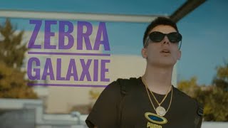 Zebra  Galaxie  Official Video [upl. by Shum494]