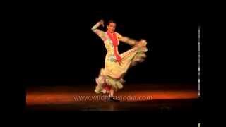 Amazing grace and power of Spanish flamenco dance [upl. by Allenotna]