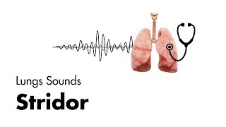 Stridor  Lung Sounds  MEDZCOOL [upl. by Miko189]