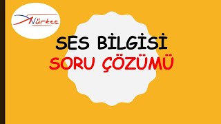 SES BİLGİSİ SORU ÇÖZÜMÜ  ADEM HOCA [upl. by Aamsa]