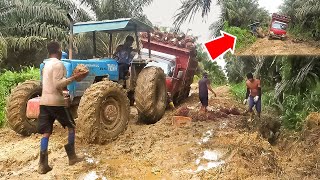 Truck stuck in mud Pulling out by Landini Tractor❗ Tractor Truck Video  Kalimantan Palm Truck [upl. by Donn]