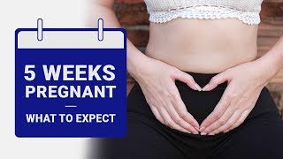 5 Week Pregnant  What to Expect [upl. by Chesnut864]