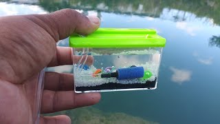 WORLDS SMALLEST Fish AQUARIUM REAL [upl. by Dlorag590]