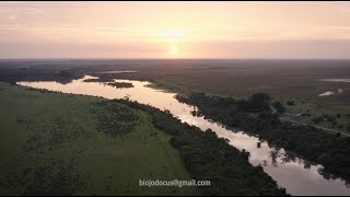 Vuelo de dron en los llanos Orientales de Colombia [upl. by Dierdre195]