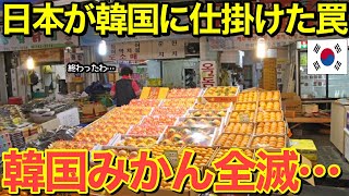 【海外の反応】「もう許してください…」隣国みかん農家が完全崩壊…日本のみかんを無断栽培した末路とは…【にほんのチカラ】 [upl. by Evvie748]