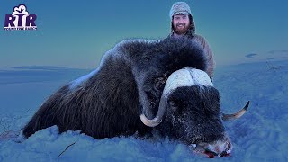 My Dream Hunt MuskOx Hunting 2023 [upl. by Westney371]