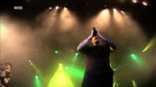 Dropkick Murphys Barroom Hero Area 4 2011 [upl. by Sibeal]