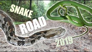 My Trip to SNAKE ROAD Fall 2019 [upl. by Codel]