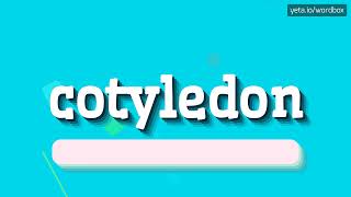 HOW TO SAY COTYLEDON cotyledon [upl. by Yoo]